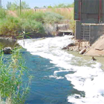 Free Info Session: Chemically Contaminated Drinking Water in the US