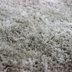 Carpet Cleaning Procedures Online