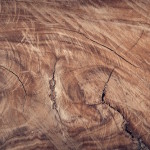 Wood Characteristics Online