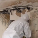 Mold Remediation Contractor Refresher - NY