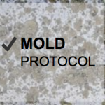Mold Protocol Writing