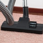 Cleaning Basics Series Part 2: Carpet Care