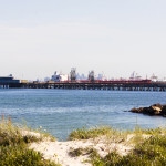 An Intro to Ecological Risk Assessment Webinar