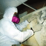 Mold Inspection and Remediation Initial - Calinc